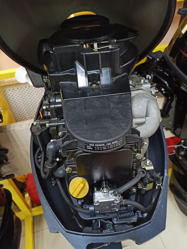 Лодочный мотор BREEZE F9,9S (4х тактный) в Братске