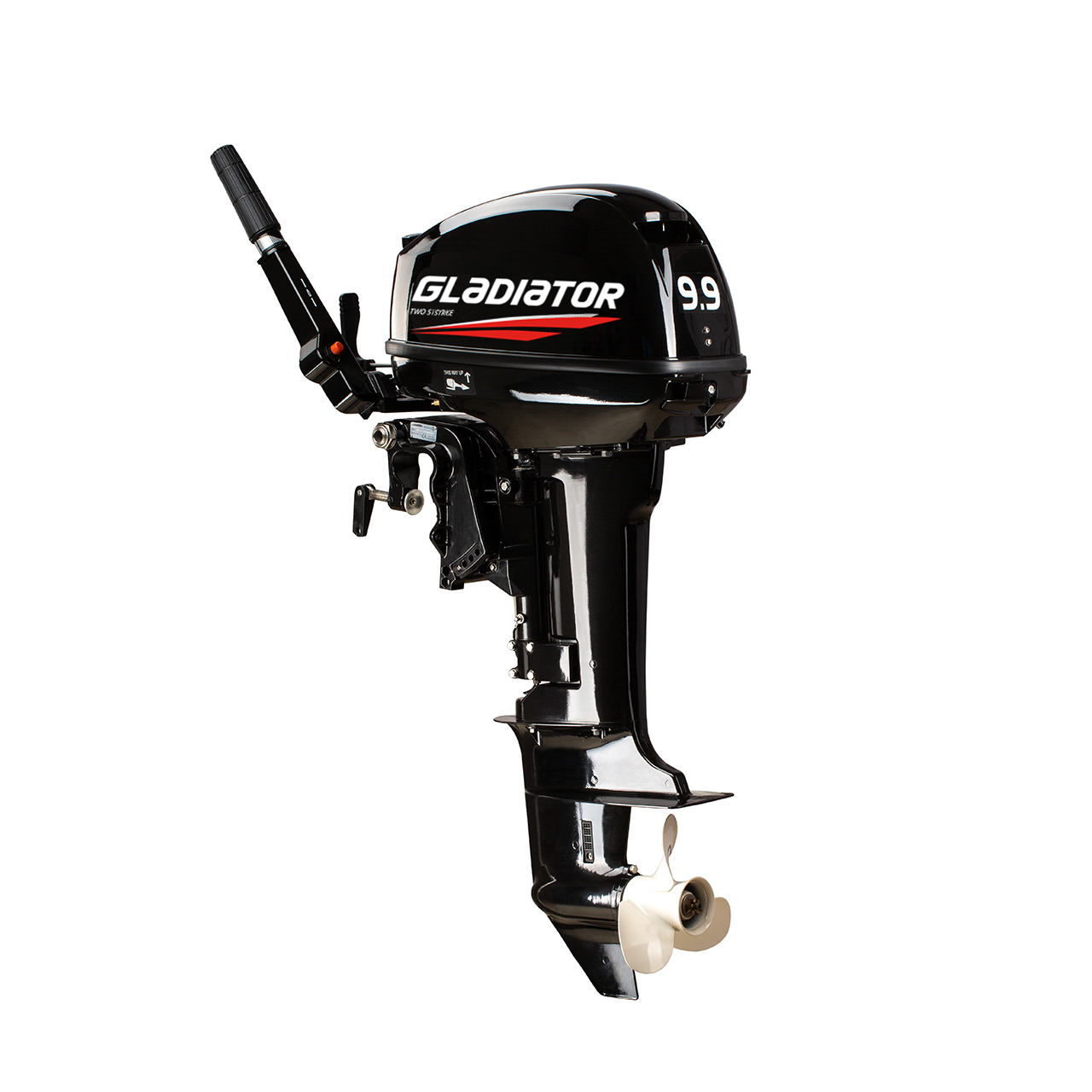 ЛОДОЧНЫЙ МОТОР GLADIATOR G9.9FHS в Братске