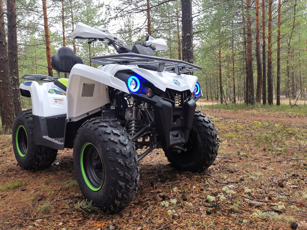 Квадроцикл PROMAX RENEGADE 280 (2025) в Братске
