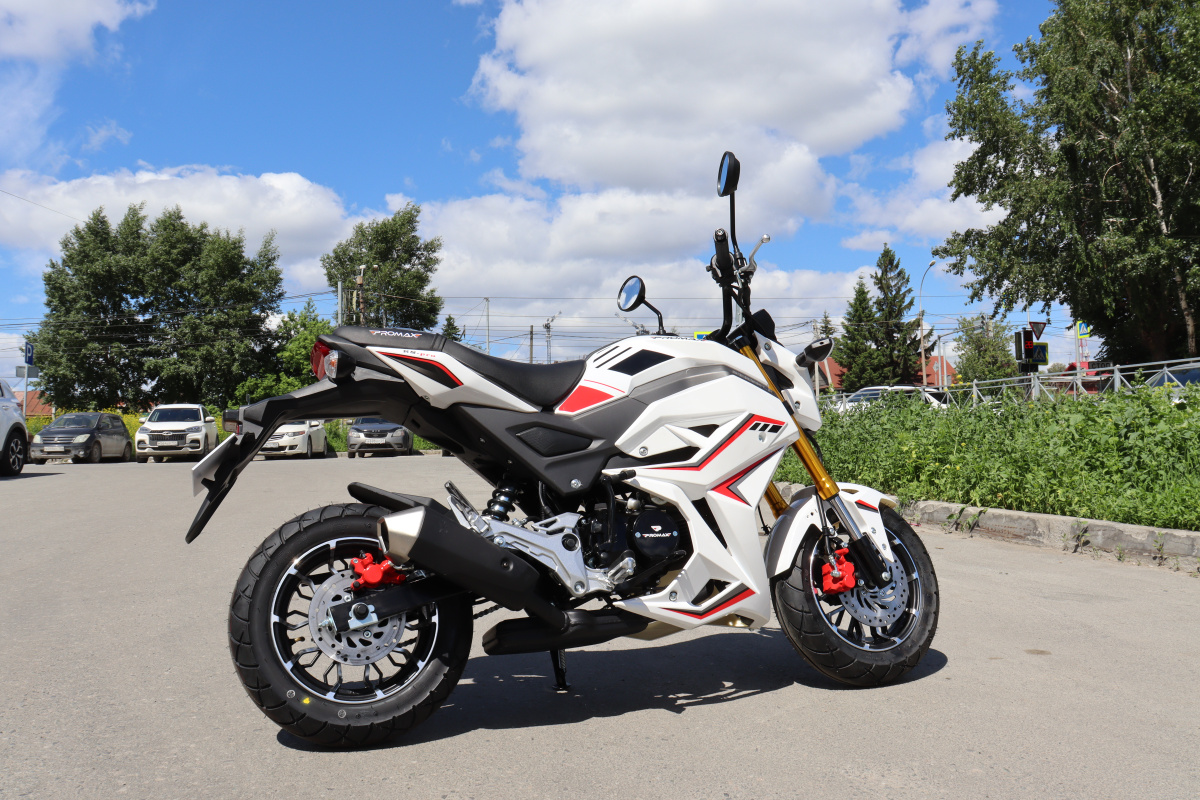 Мотоцикл PROMAX STRYKER 200(49) 2.0 в Братске