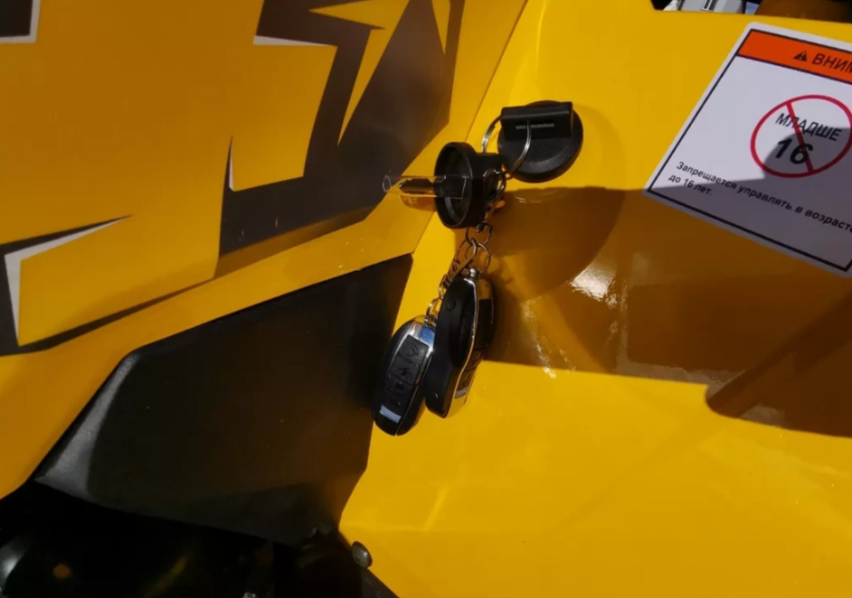 Квадроцикл MOTOLAND (МОТОЛЕНД) VOX200 WILD TRACK X PRO (баланс. вал) в Братске