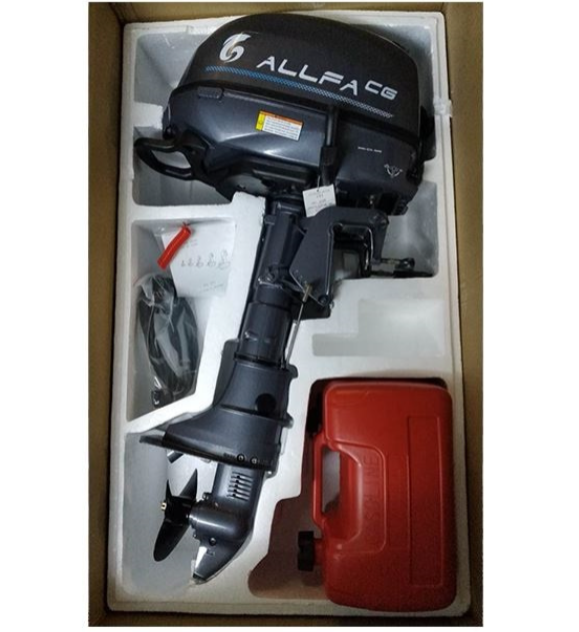 Лодочный мотор ALLFA CG F6 в Братске