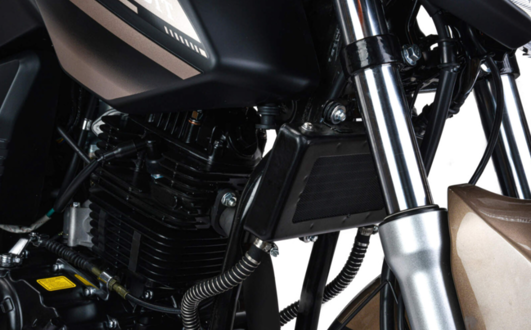 Мотоцикл MOTOLAND (МОТОЛЕНД) 300 BANDIT в Братске