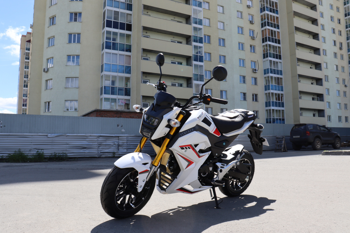 Мотоцикл PROMAX STRYKER 200(49) 2.0 в Братске