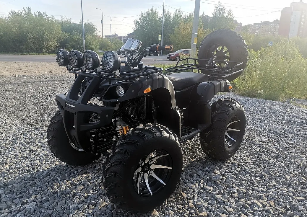 Квадроцикл PROMAX LEO 300 Max (кардан) в Братске