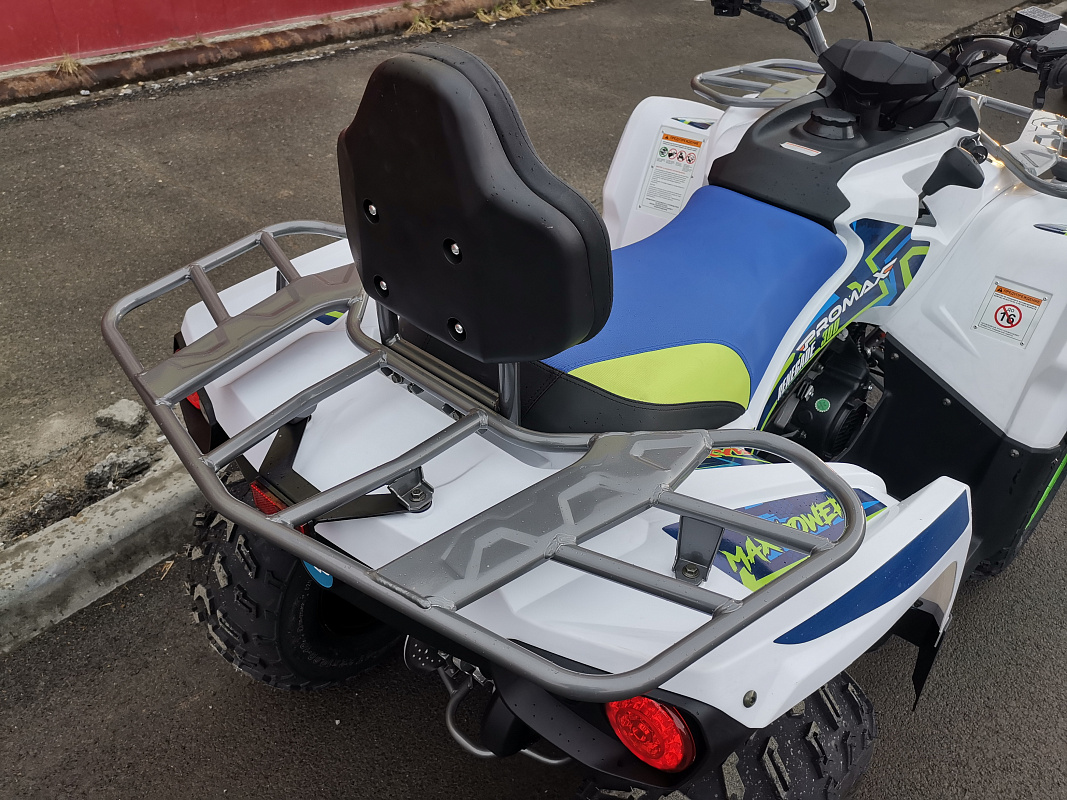 Квадроцикл PROMAX RENEGADE 280 LUX (2025) в Братске