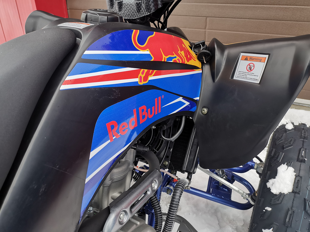 Квадроцикл PROMAX RAPTOR 300 NEW RedBull в Братске