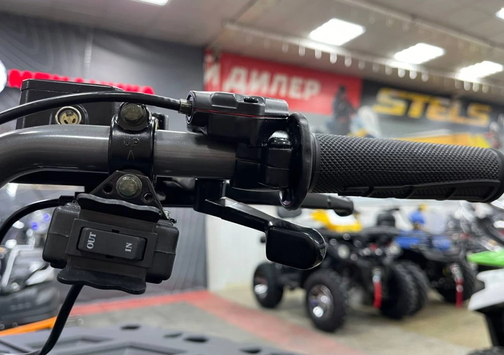 Квадроцикл PROMAX RENEGADE 300 LONG WINCH PRO (2025) в Братске