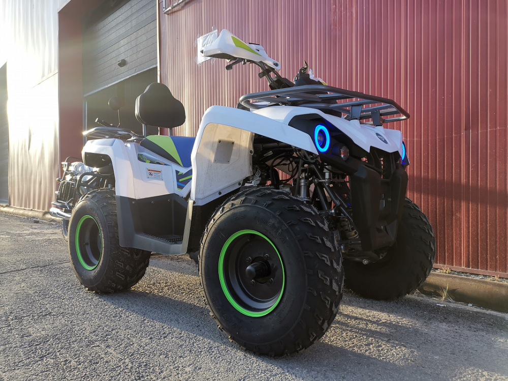 Квадроцикл PROMAX RENEGADE 280 LUX (2025) в Братске