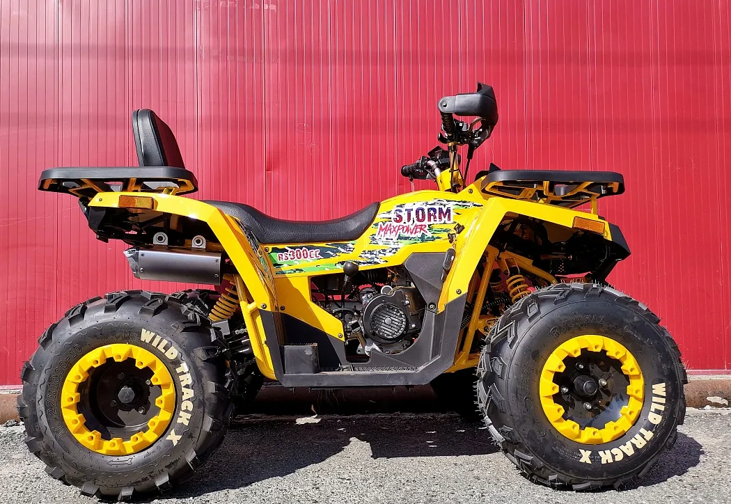 Квадроцикл PROMAX STORM 280 LUX в Братске