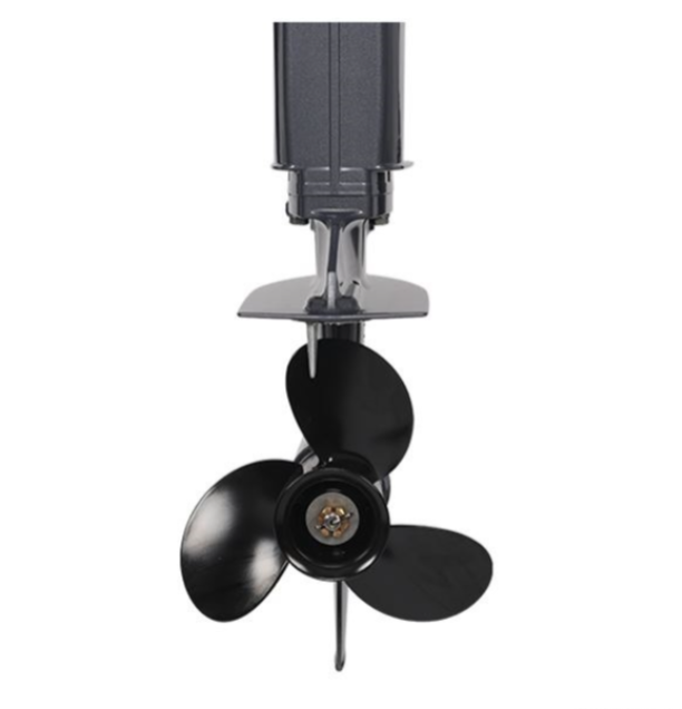 Лодочный мотор ALLFA CG Т40FW S в Братске