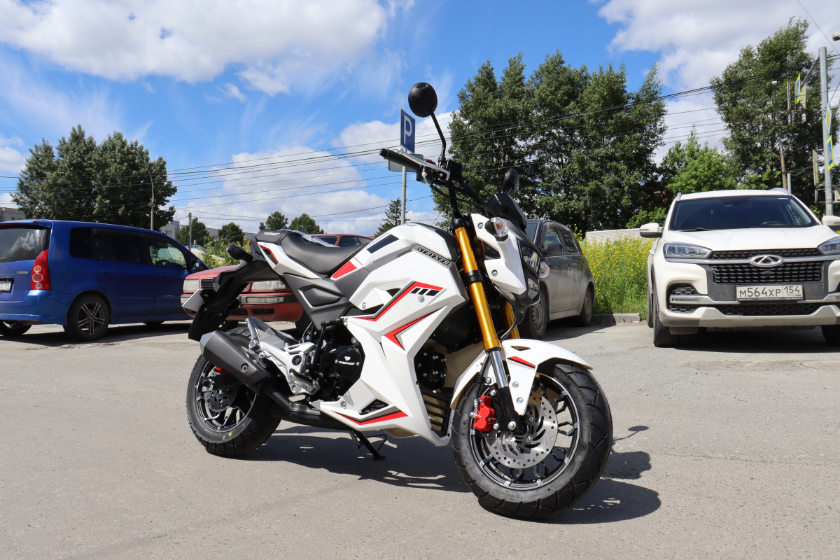 Мотоцикл PROMAX STRYKER 200(49) 2.0 в Братске