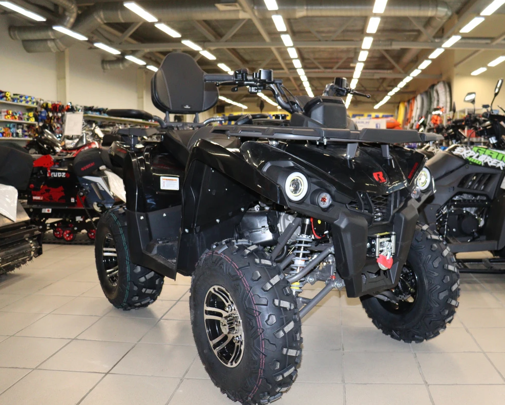 Квадроцикл PROMAX RENEGADE 300 LONG WINCH PRO (2025) в Братске