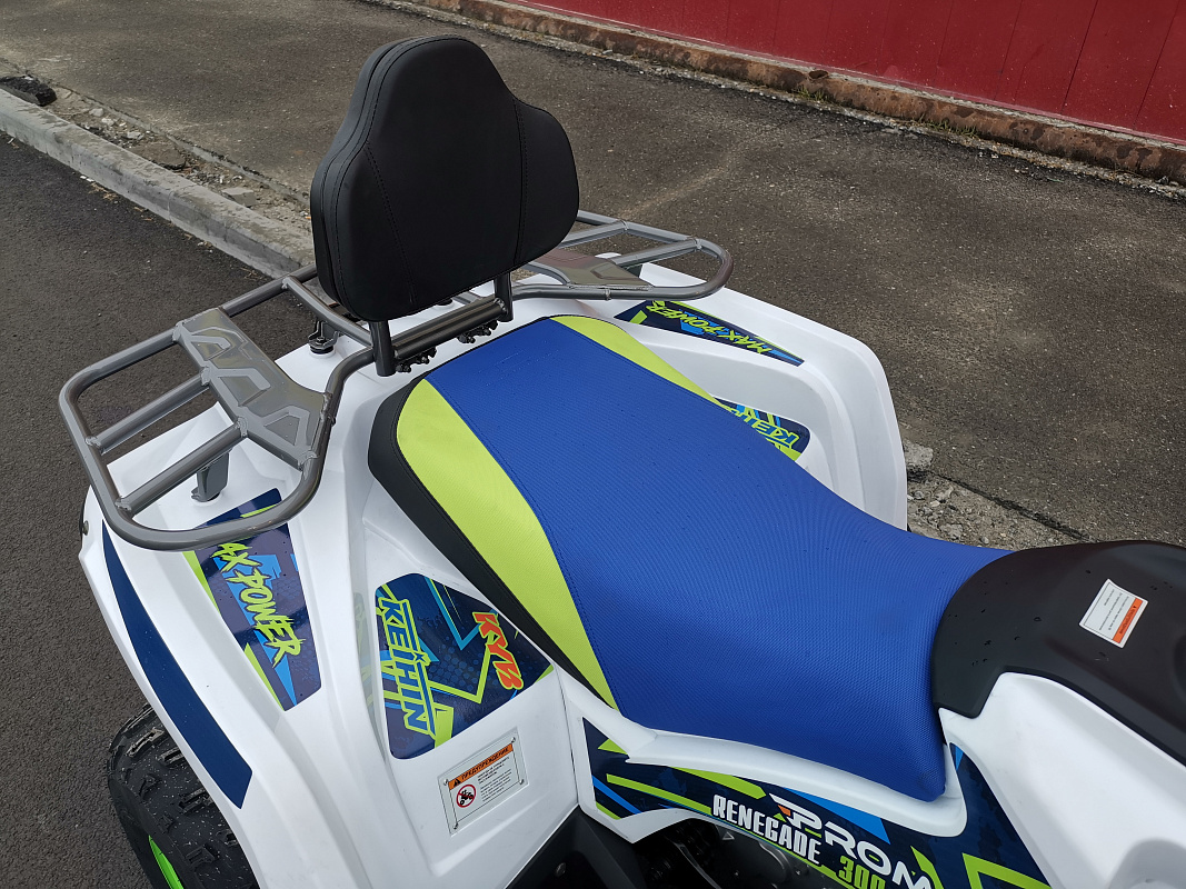 Квадроцикл PROMAX RENEGADE 280 LUX (2025) в Братске