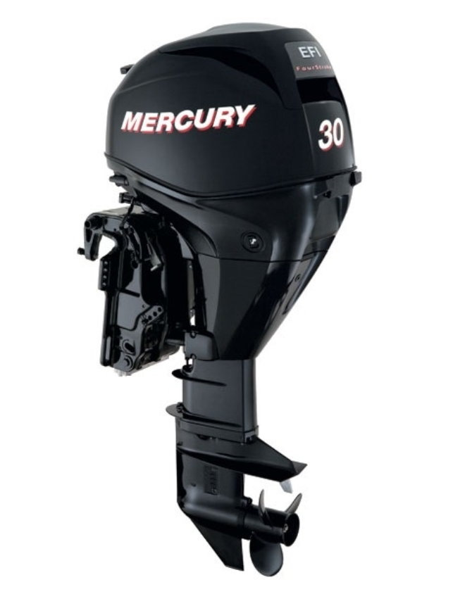 ЛОДОЧНЫЙ МОТОР MERCURY  F 30 ELH GA EFI в Братске