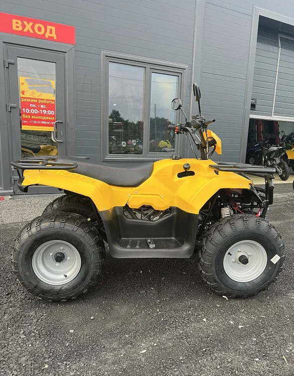 КВАДРОЦИКЛ IRBIS ATV 250  в Братске