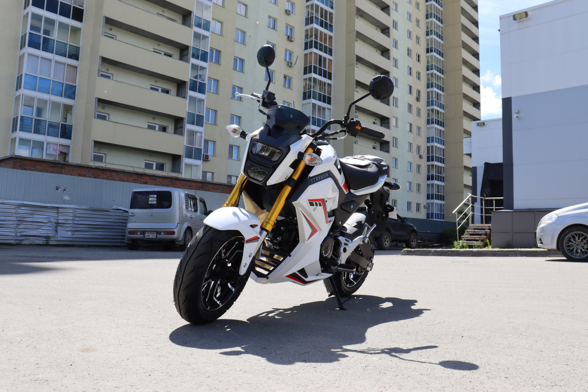 Мотоцикл PROMAX STRYKER 200(49) 2.0 в Братске