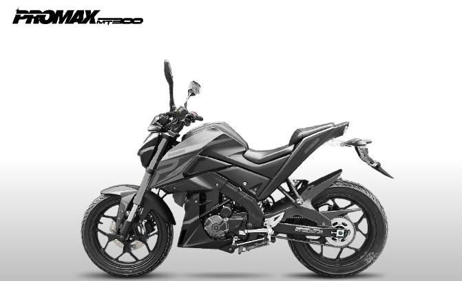 Мотоцикл PROMAX MT300 в Братске