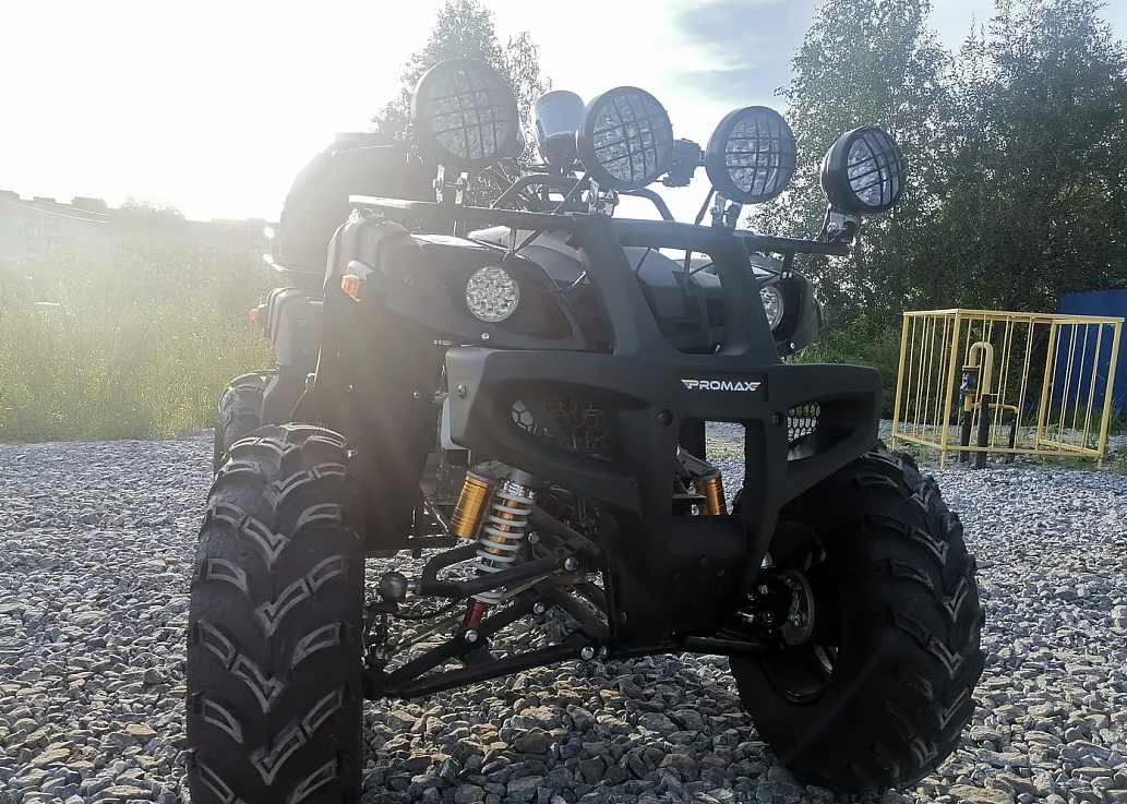Квадроцикл PROMAX LEO 300 Max (кардан) в Братске