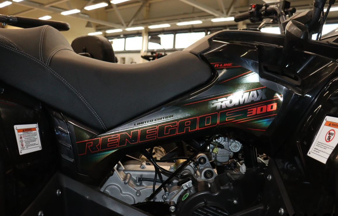 Квадроцикл PROMAX RENEGADE 300 LONG WINCH PRO (2025) в Братске