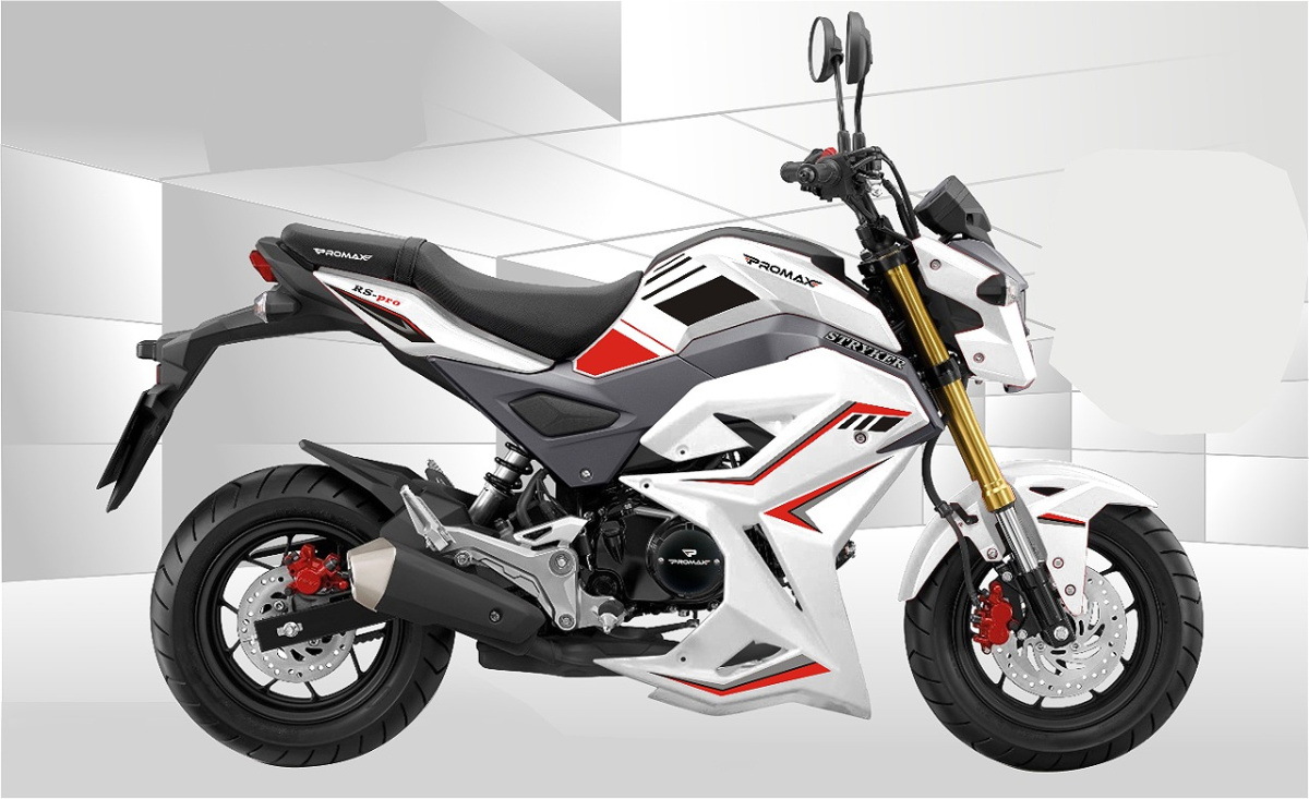 Мотоцикл PROMAX STRYKER 200(49) 2.0 в Братске