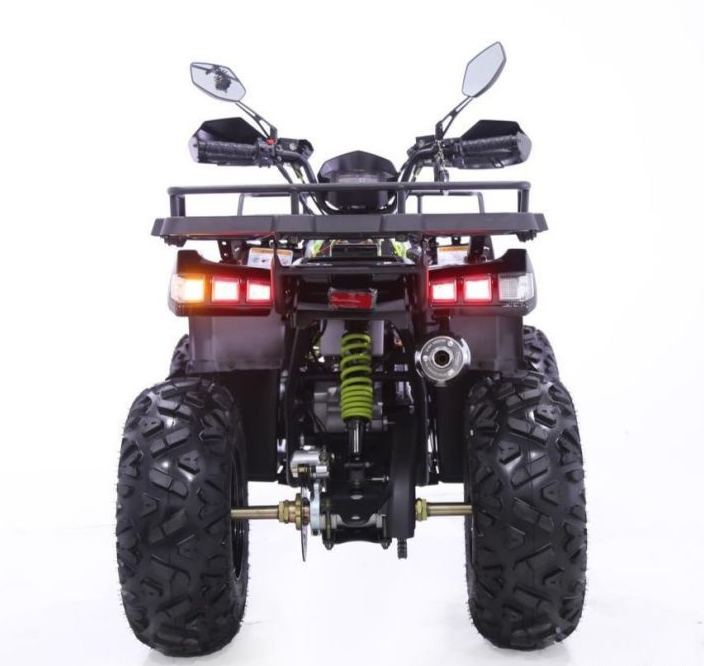 Квадроцикл YACOTA WARRIOR 200 PRO в Братске