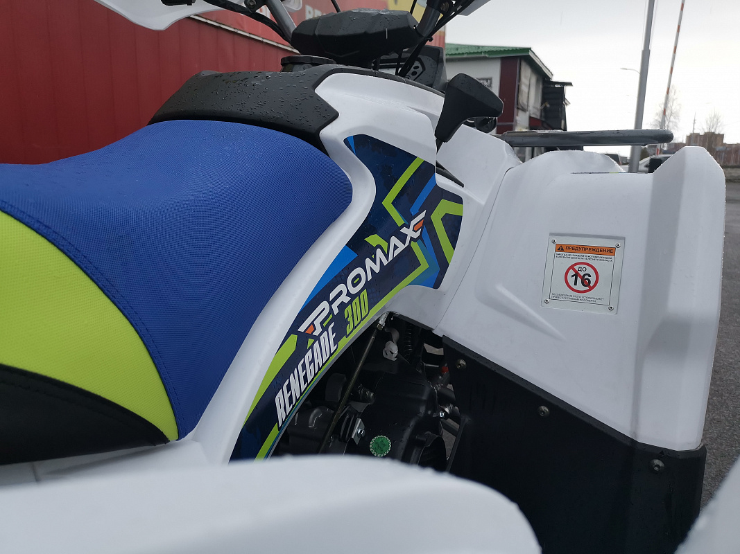 Квадроцикл PROMAX RENEGADE 280 LUX (2025) в Братске