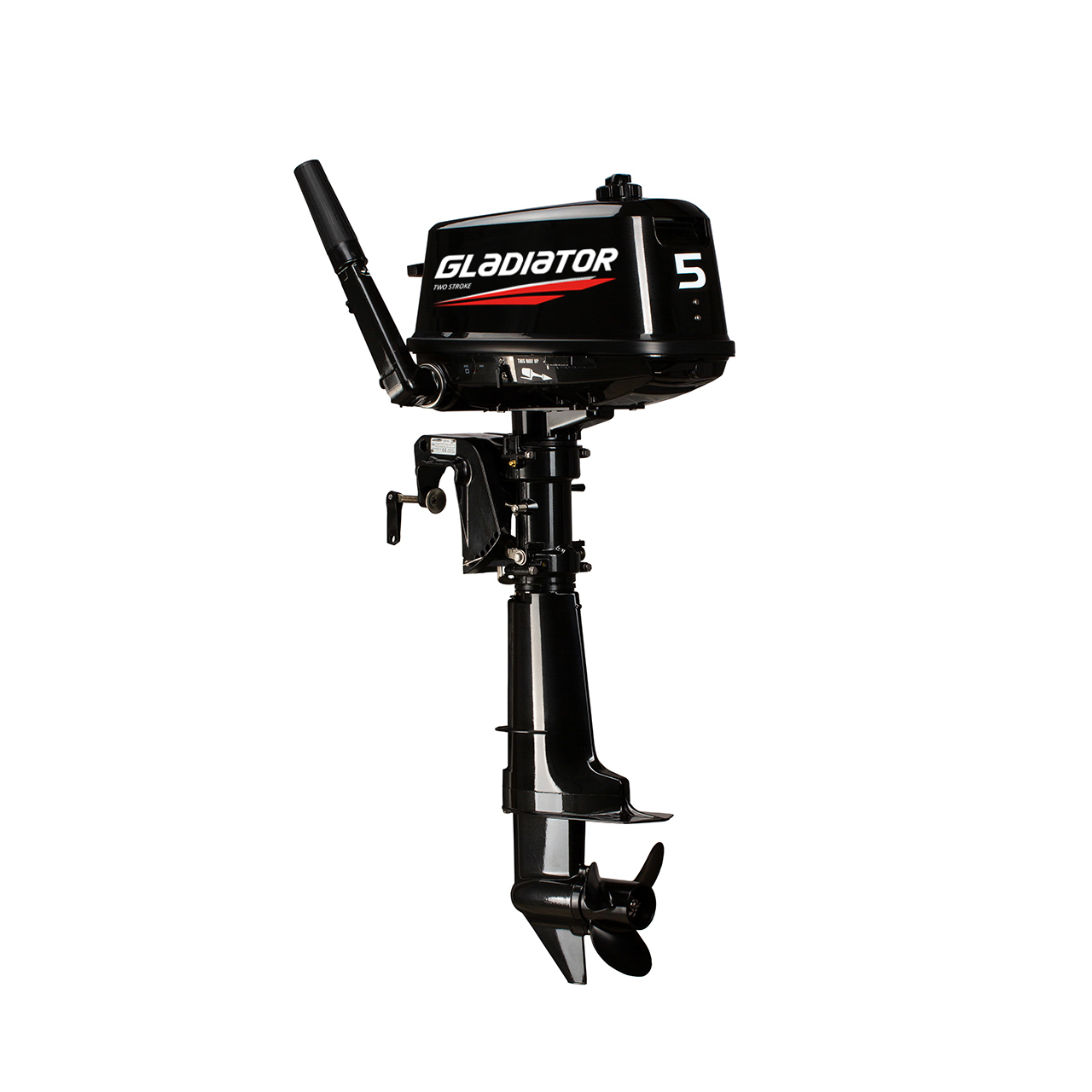 ЛОДОЧНЫЙ МОТОР GLADIATOR G5FHS в Братске