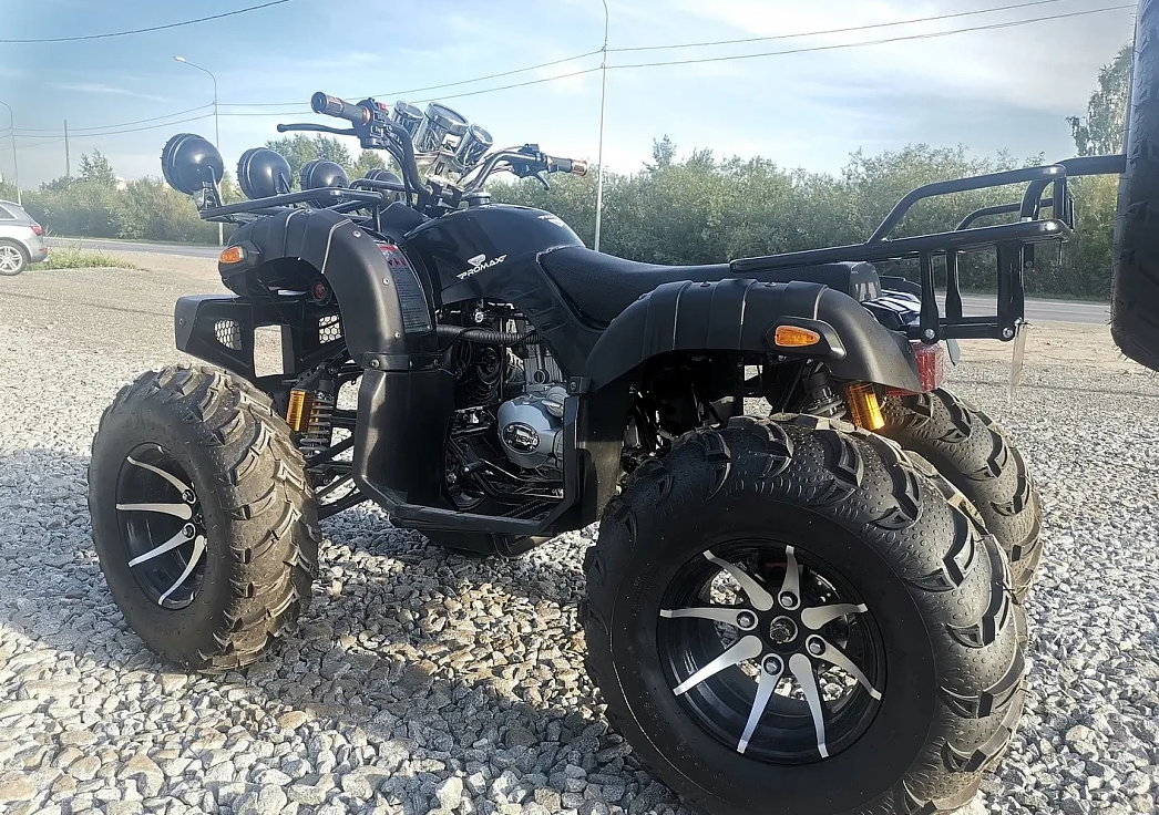 Квадроцикл PROMAX LEO 300 Max (кардан) в Братске