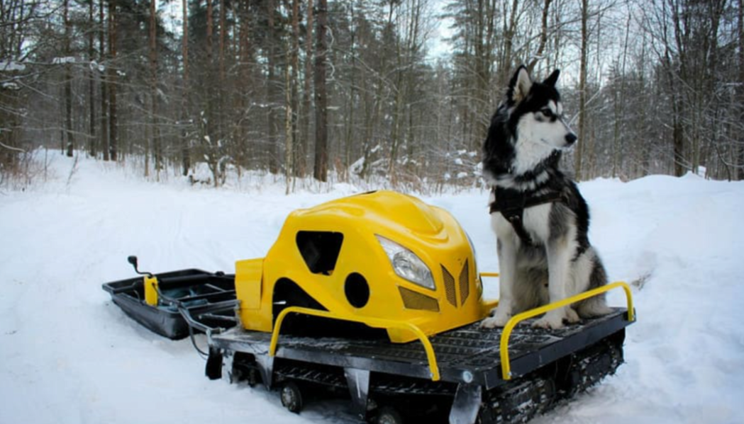 Мотобуксировщик LEBEDEV MOTORS ВОЛКОДАВ POWER V13 в Братске