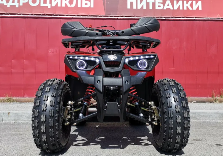 Квадроцикл PROMAX WILD 175 BASIC в Братске