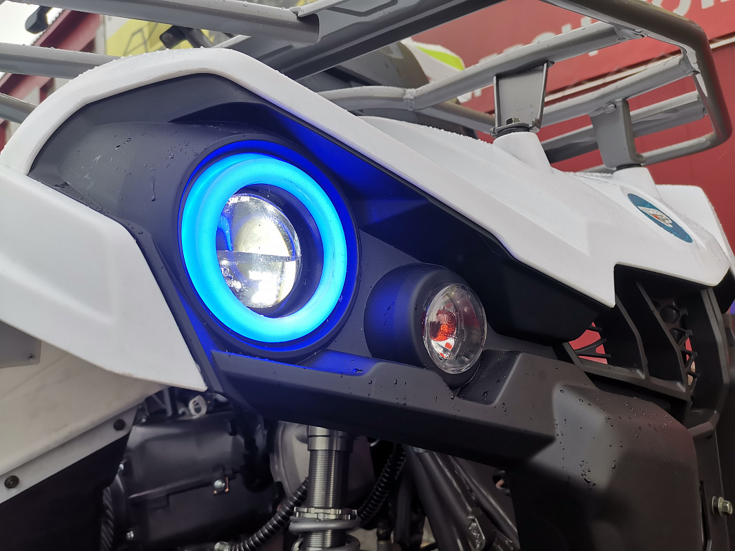 Квадроцикл PROMAX RENEGADE 280 LUX (2025) в Братске