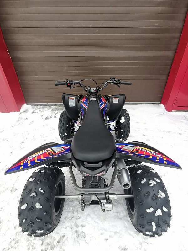 Квадроцикл PROMAX RAPTOR 300 NEW RedBull в Братске