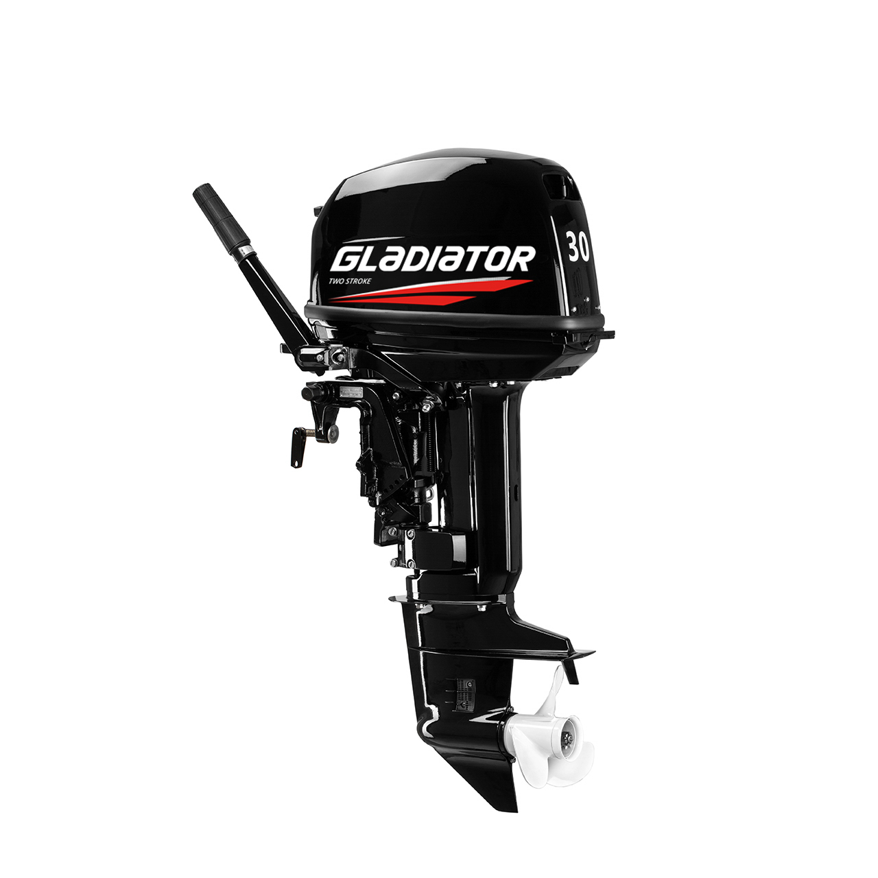 ЛОДОЧНЫЙ МОТОР GLADIATOR G30FHS в Братске