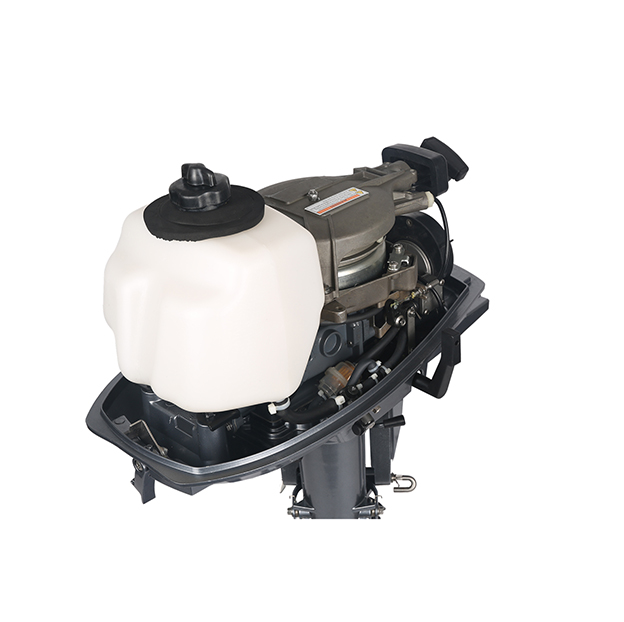 ЛОДОЧНЫЙ МОТОР ALLFA CG T5 в Братске