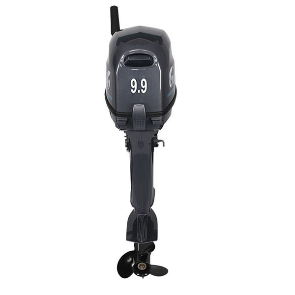 Лодочный мотор ALLFA CG Т9.9(20)MAX в Братске