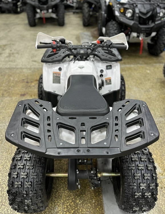 Квадроцикл PROMAX WILD 2.0 190 в Братске