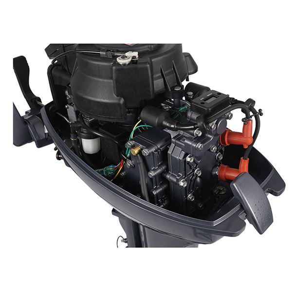 ЛОДОЧНЫЙ МОТОР ALLFA CG Т9,9 Limit в Братске