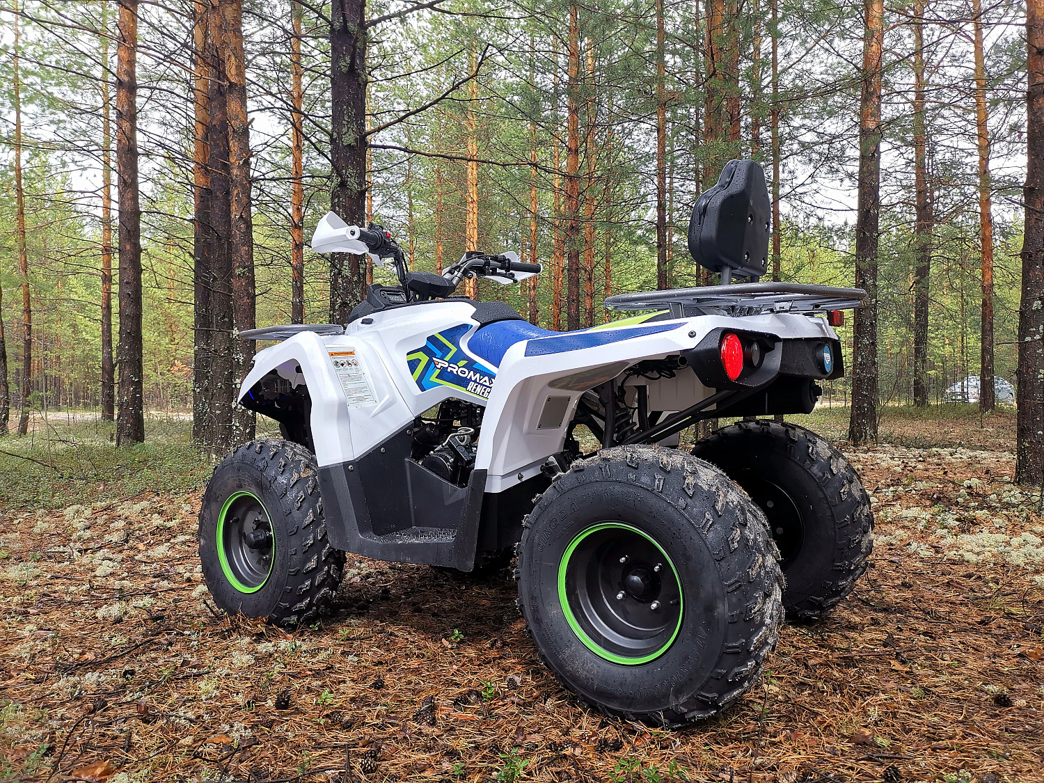 Квадроцикл PROMAX RENEGADE 280 (2025) в Братске