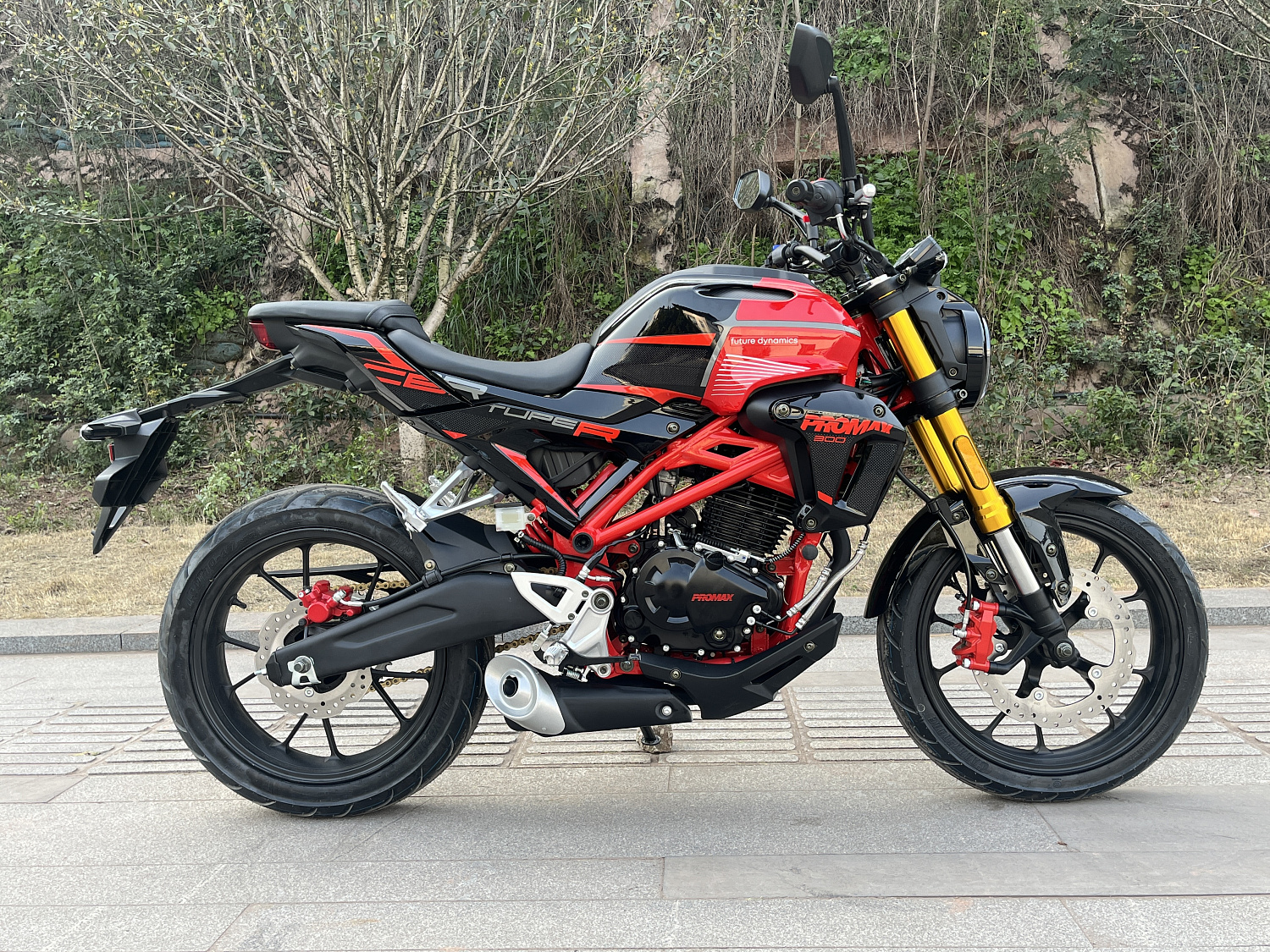 Мотоцикл PROMAX CB300 в Братске