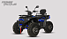 Квадроцикл PROMAX TAURUS 300 MAX-PRO LONG в Братске