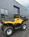 КВАДРОЦИКЛ IRBIS ATV 250  в Братске