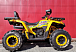 Квадроцикл PROMAX STORM 280 LUX в Братске