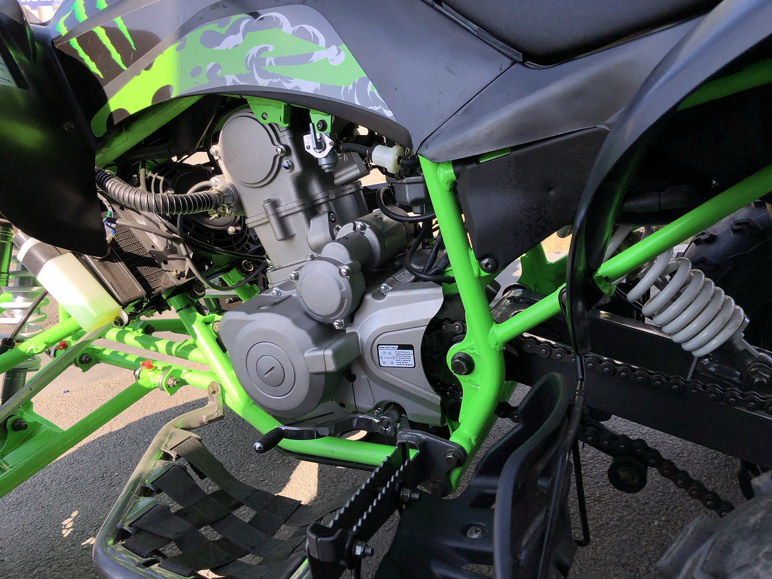 Квадроцикл PROMAX RAPTOR 300 NEW Monster в Братске