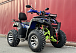  Квадроцикл PROMAX ATV 250 MAX (2025) в Братске
