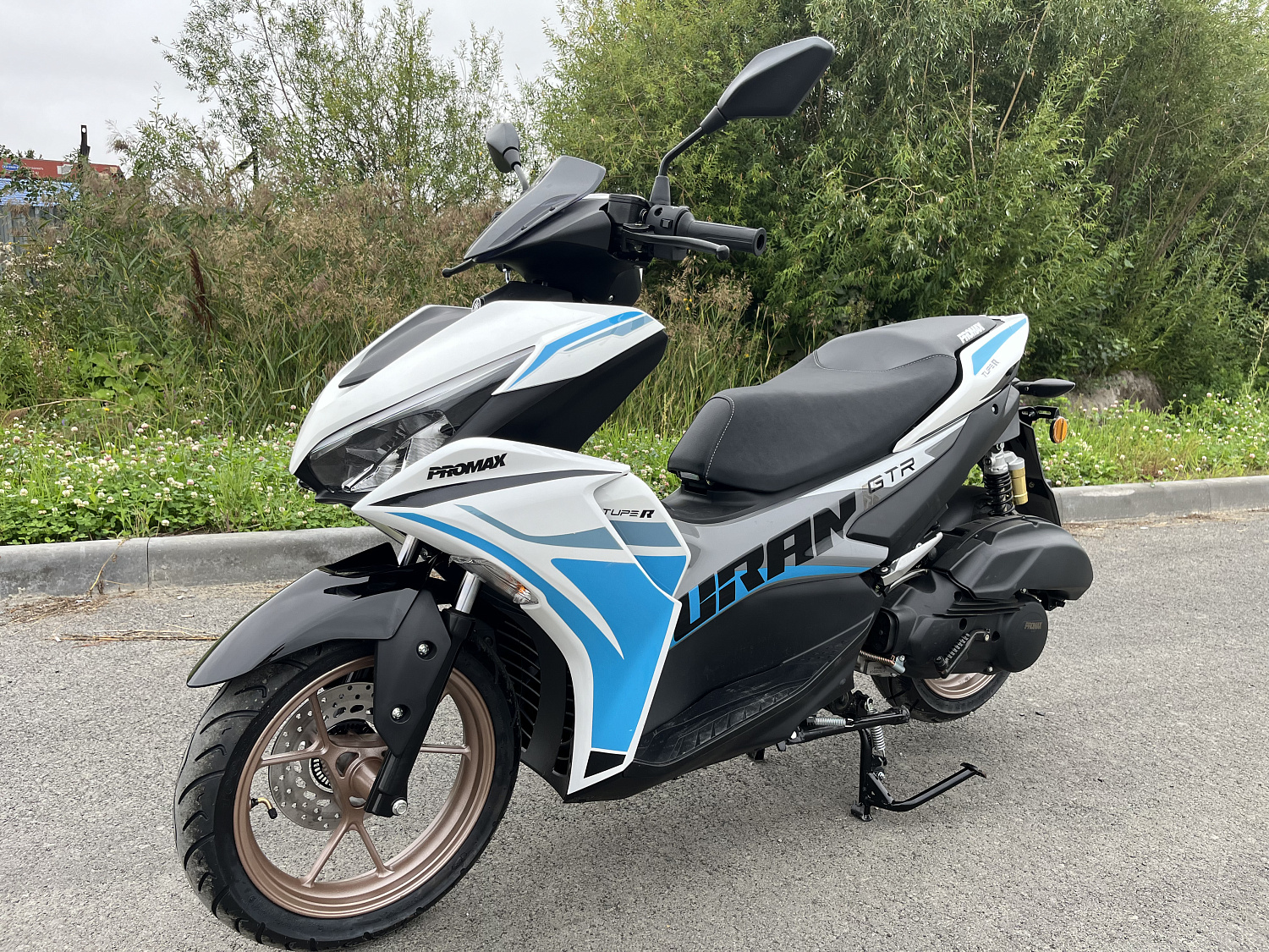 Скутер PROMAX TURAN 250 (49) в Братске