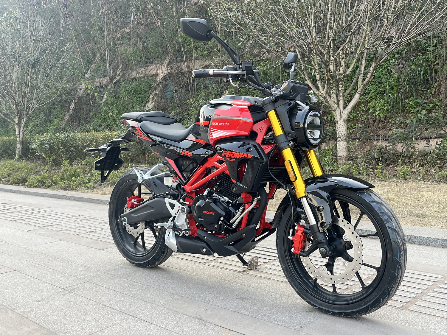 Мотоцикл PROMAX CB300 в Братске