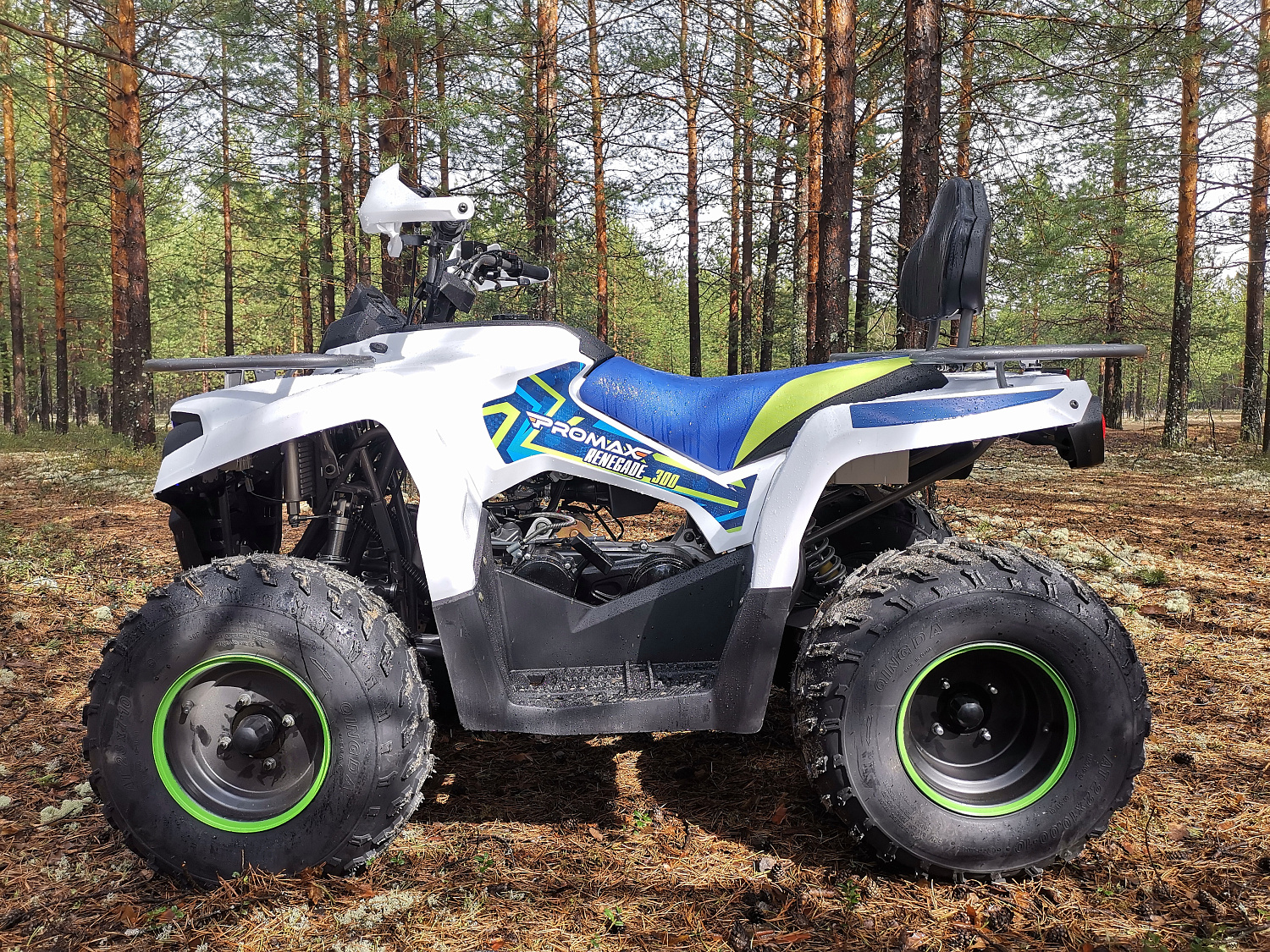 Квадроцикл PROMAX RENEGADE 280 (2025) в Братске