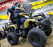 Квадроцикл PROMAX ATV 250 (2025) в Братске