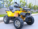 Квадроцикл MOTOLAND (МОТОЛЕНД) VOX200 WILD TRACK X PRO (баланс. вал) в Братске